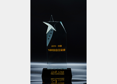 2015中国100佳自主品牌
